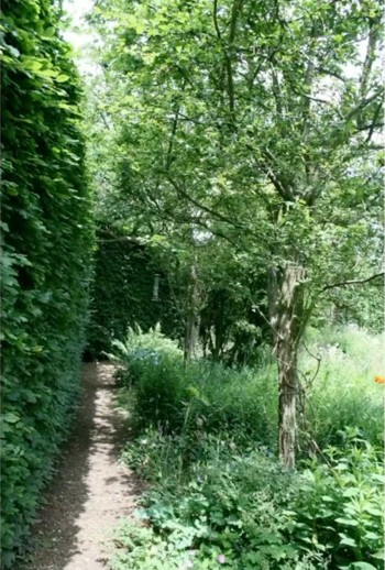 Shrubbery walk at Jane Austen's House